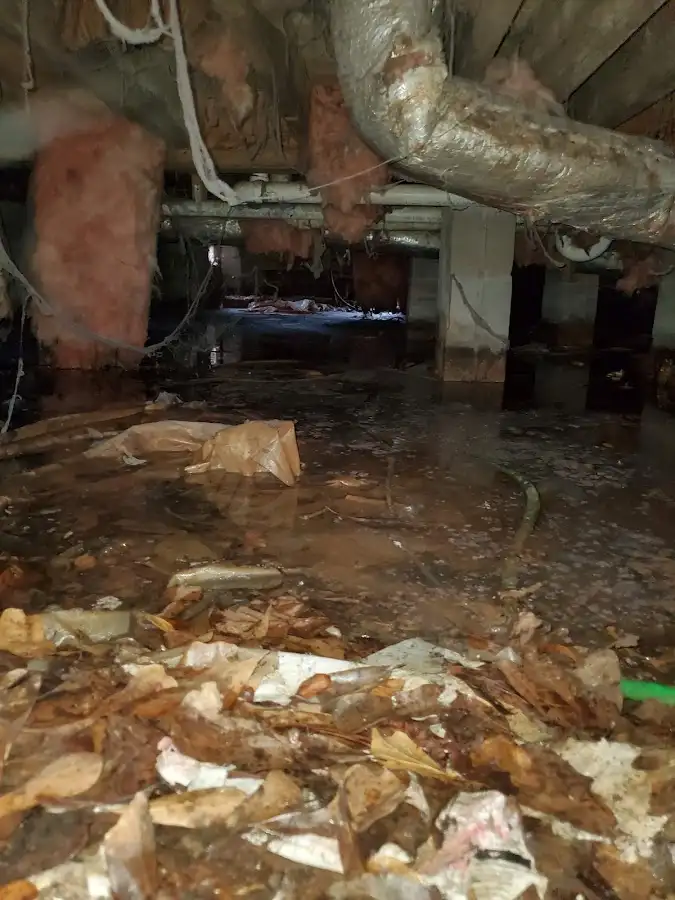 Crawl space flood assessment for Commercial Water Damage Restoration in Canyon